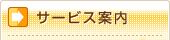 �T�[�r�X�ē�